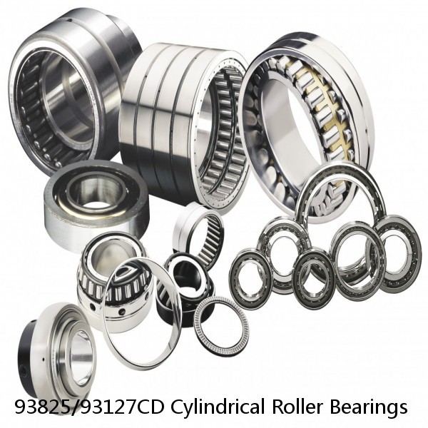 93825/93127CD Cylindrical Roller Bearings