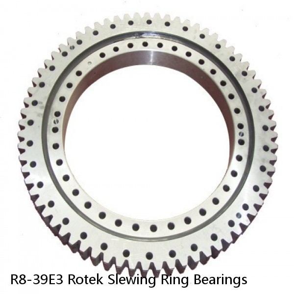 R8-39E3 Rotek Slewing Ring Bearings