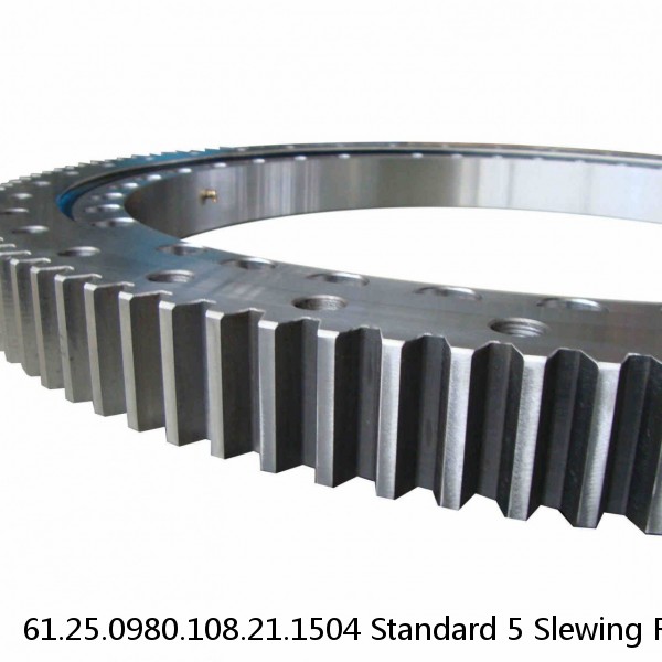 61.25.0980.108.21.1504 Standard 5 Slewing Ring Bearings