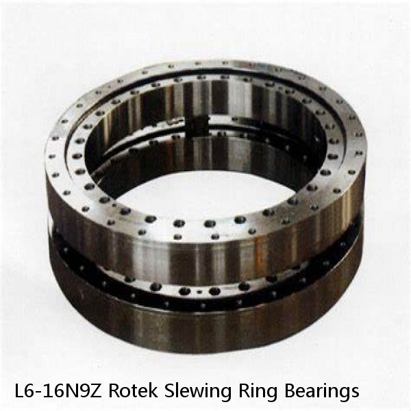 L6-16N9Z Rotek Slewing Ring Bearings