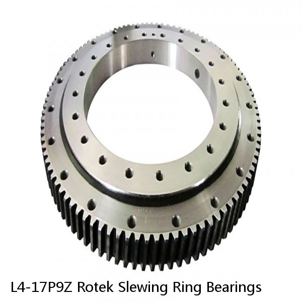 L4-17P9Z Rotek Slewing Ring Bearings