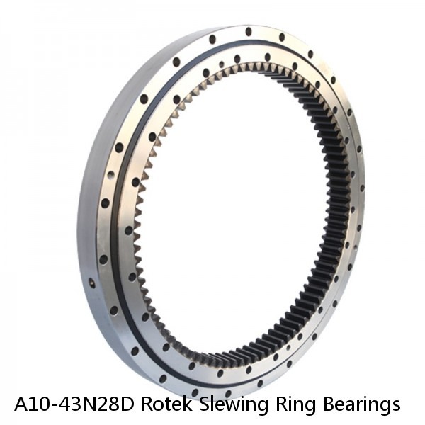 A10-43N28D Rotek Slewing Ring Bearings #1 small image