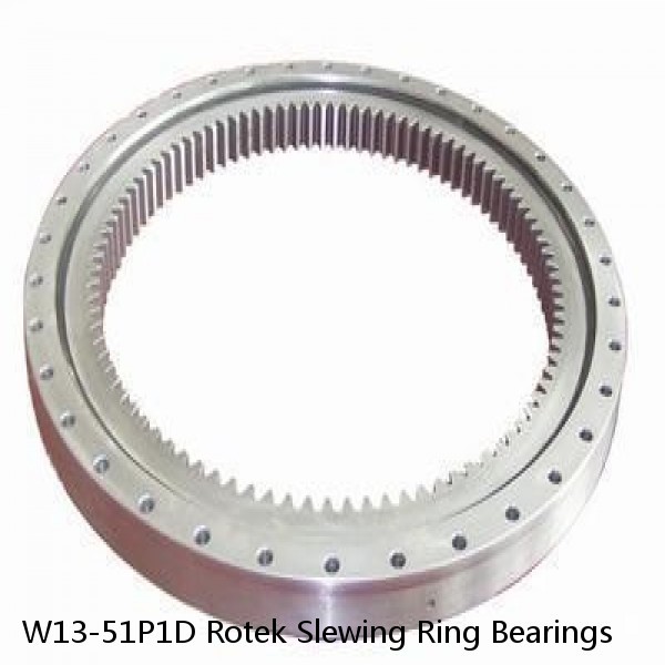 W13-51P1D Rotek Slewing Ring Bearings #1 small image