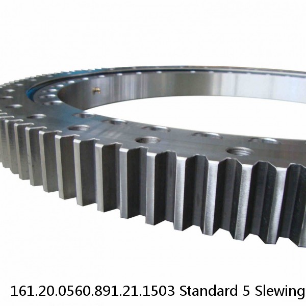 161.20.0560.891.21.1503 Standard 5 Slewing Ring Bearings #1 small image