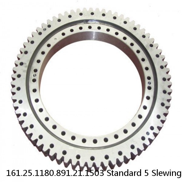 161.25.1180.891.21.1503 Standard 5 Slewing Ring Bearings