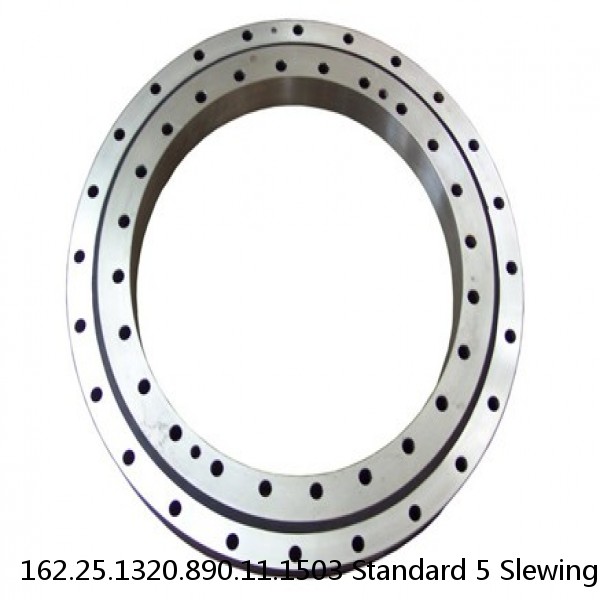162.25.1320.890.11.1503 Standard 5 Slewing Ring Bearings #1 small image