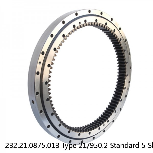 232.21.0875.013 Type 21/950.2 Standard 5 Slewing Ring Bearings #1 image