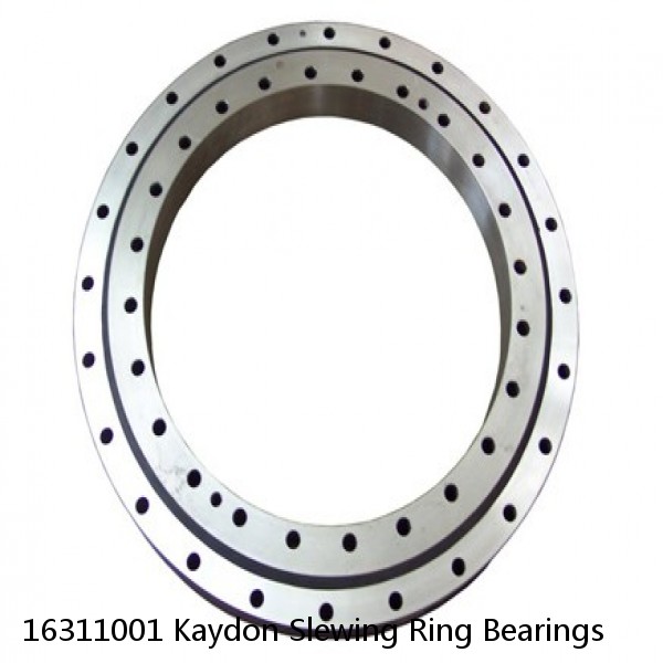 16311001 Kaydon Slewing Ring Bearings #1 image
