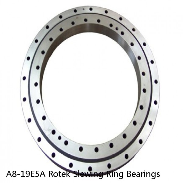 A8-19E5A Rotek Slewing Ring Bearings #1 image