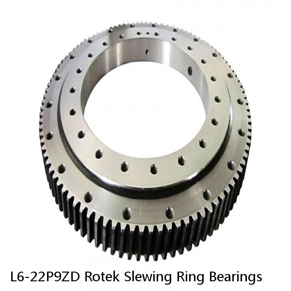 L6-22P9ZD Rotek Slewing Ring Bearings #1 image