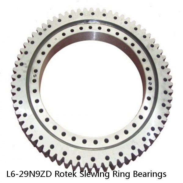 L6-29N9ZD Rotek Slewing Ring Bearings #1 image