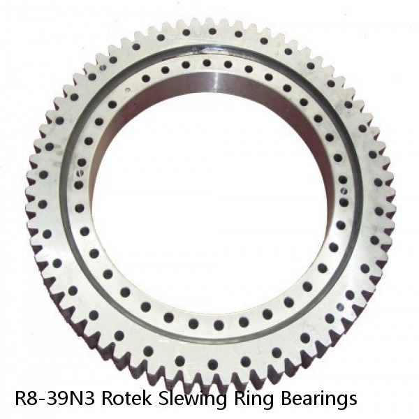 R8-39N3 Rotek Slewing Ring Bearings #1 image
