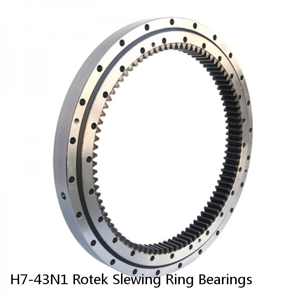 H7-43N1 Rotek Slewing Ring Bearings #1 image