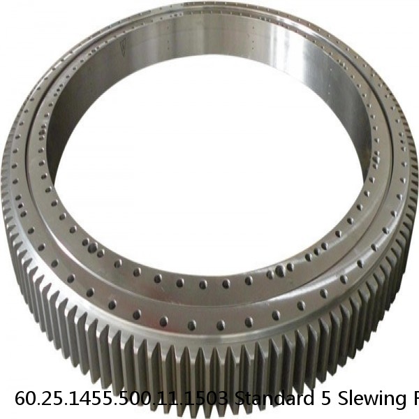 60.25.1455.500.11.1503 Standard 5 Slewing Ring Bearings #1 image